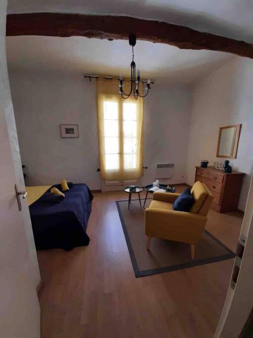 Historic French Townhouse Vila Saint-Thibéry Exterior foto